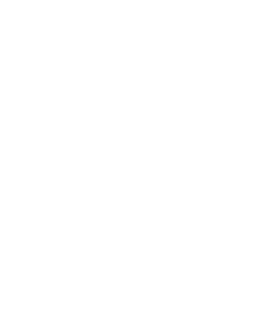 logo_porto_branco
